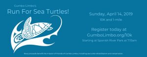 Race for Sea Turtles